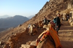 Sinai